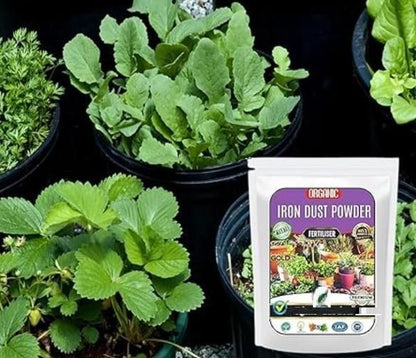 Iron Dust Fertilizer (350gm)